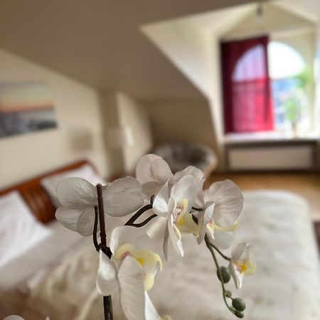 Old Town Apartment With Sauna รีกา ภายนอก รูปภาพ