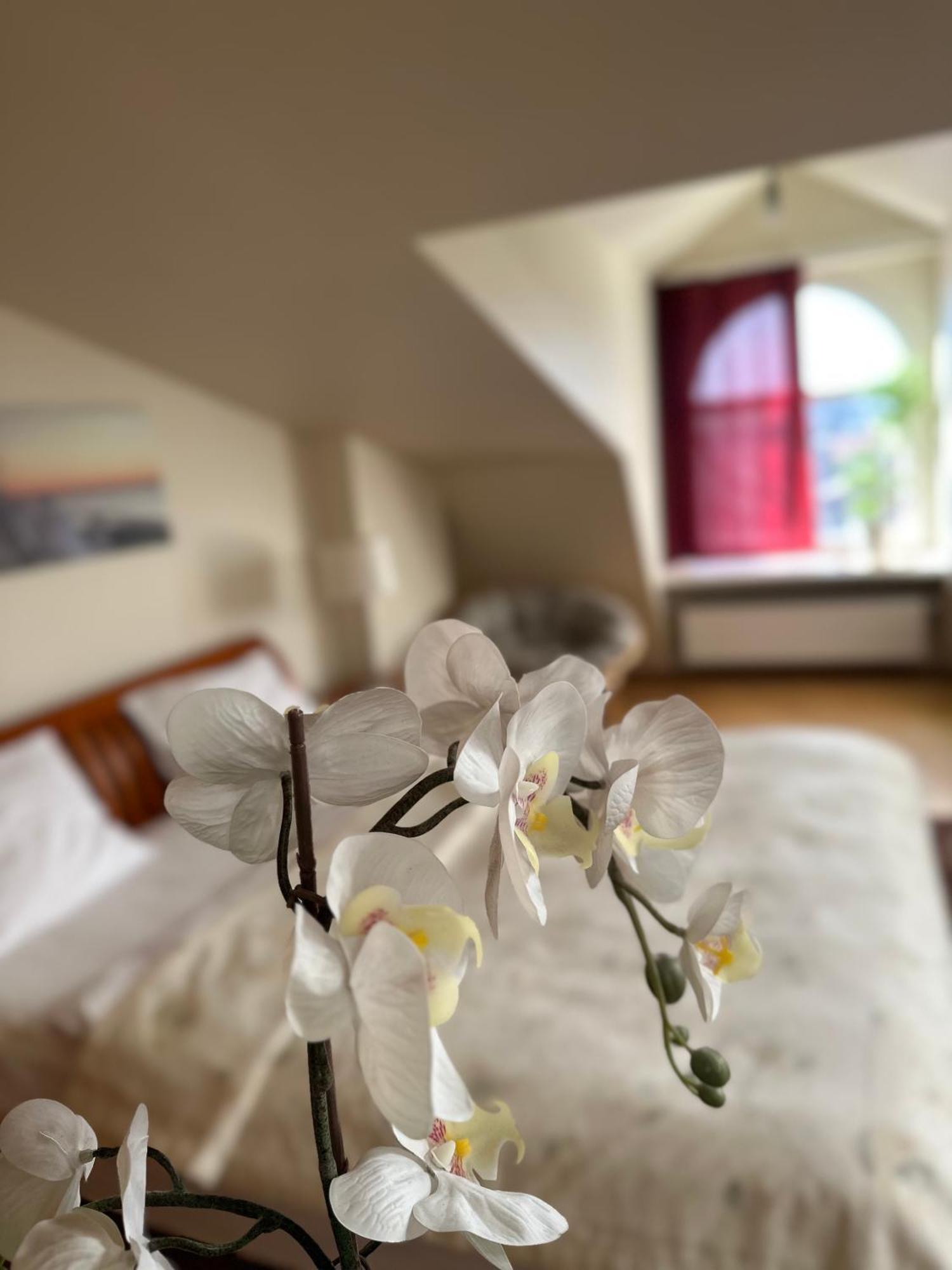 Old Town Apartment With Sauna รีกา ภายนอก รูปภาพ